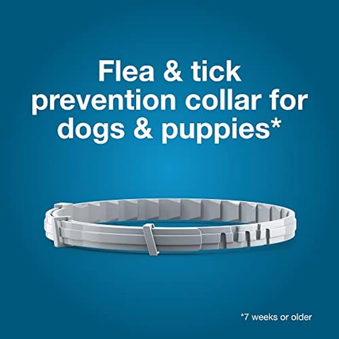 Seresto Cat Vet-Recommended Flea & Tick Treatment & Prevention Collar for Cats, 8 Months Protection | (Pack of 2)