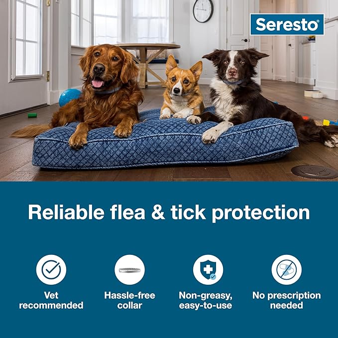 Seresto Cat Vet-Recommended Flea & Tick Treatment & Prevention Collar for Cats | 8 Months Protection ( Pack 2 )